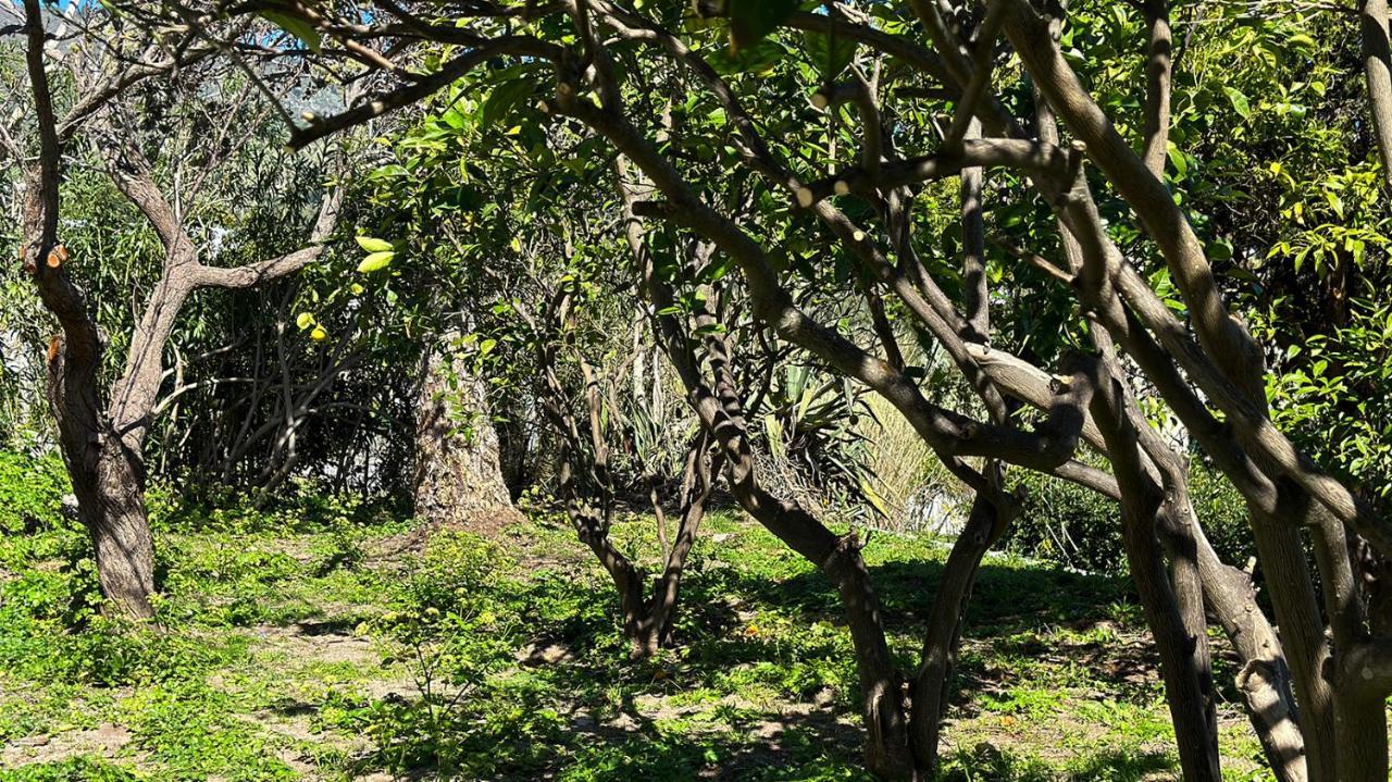 Villa La Milanina Lipari  Buitenkant foto
